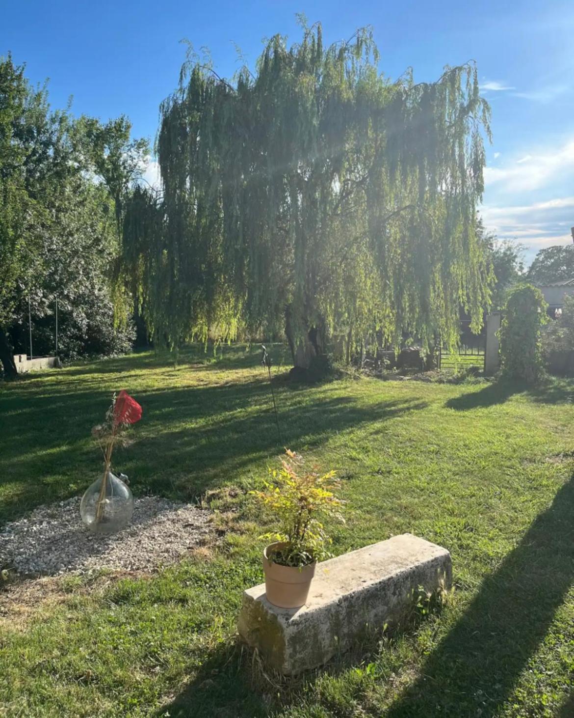 Appartement Cosy Saint-Hilaire-de-Brethmas المظهر الخارجي الصورة